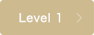 Level 1