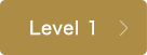 Level 1