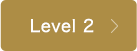 Level 2