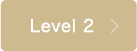 Level 2