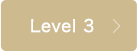 Level 3