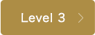 Level 3