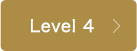 Level 4