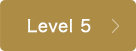 Level 5